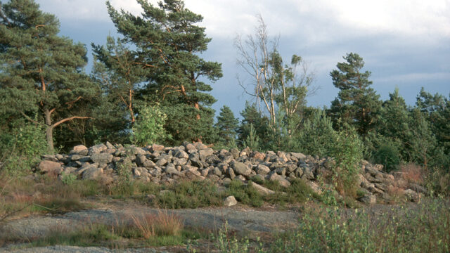 Bergsjön från forntid till nutid